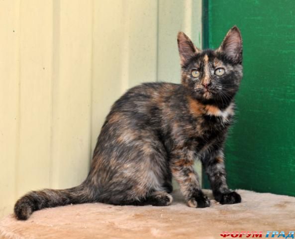 Возьмите! Не пожалеете!