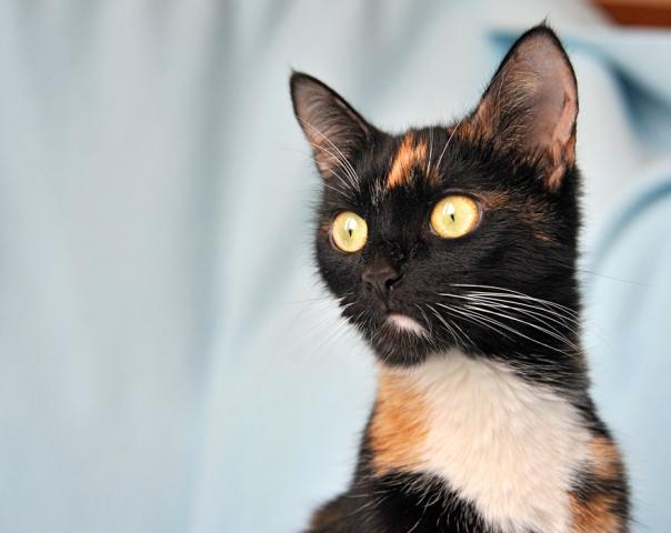 Мотя Клюквина