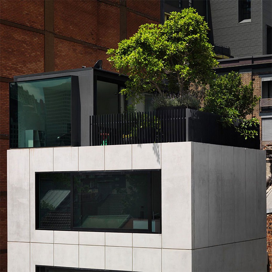 small-house-by-domenic-alvaro-02