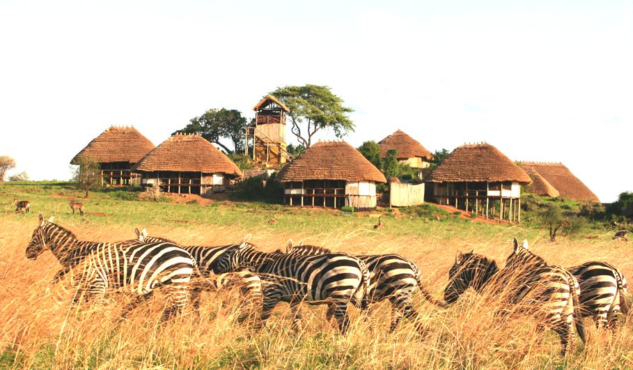 apoka-safari-lodge-uganda-07