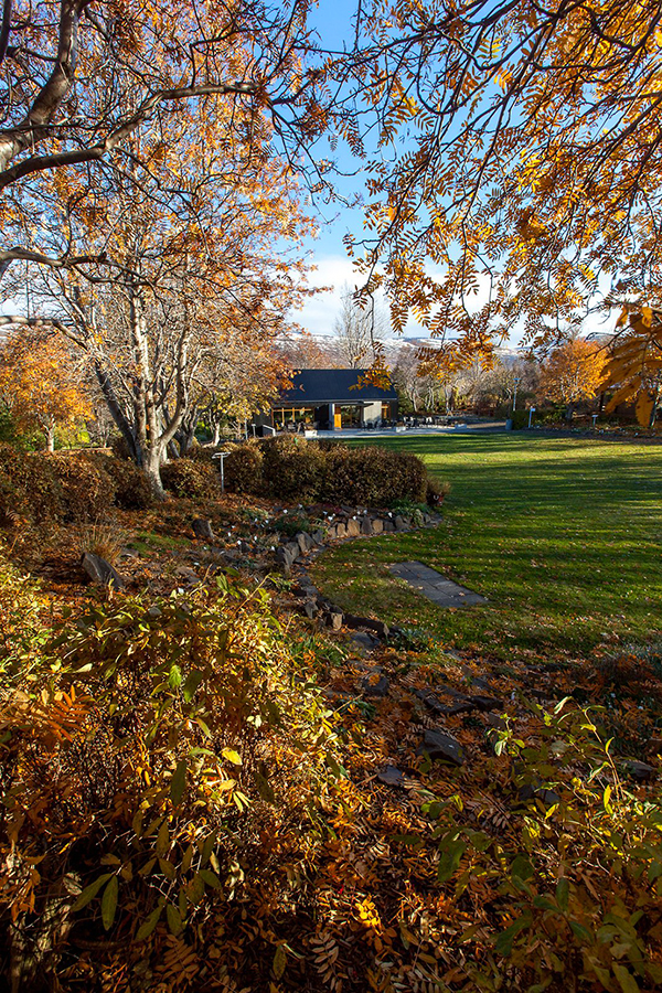 cozy-coffee-hotspot-03