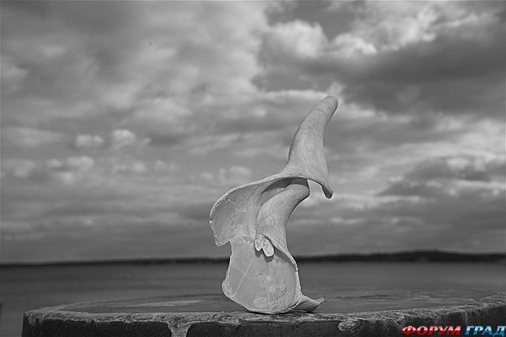 туристический форум