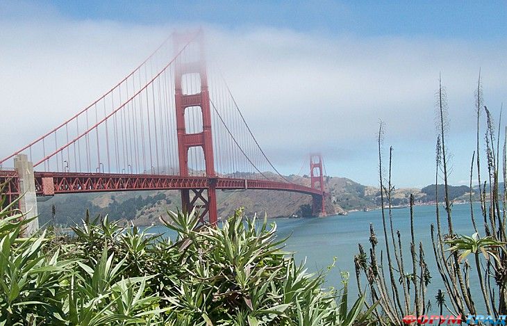 туристический форум