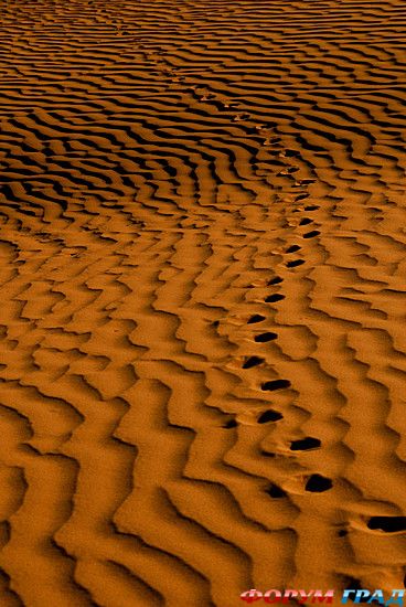 туристический форум