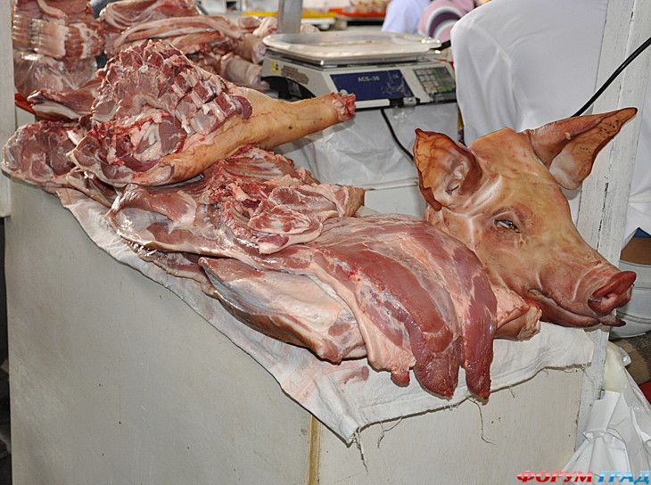 туристический форум