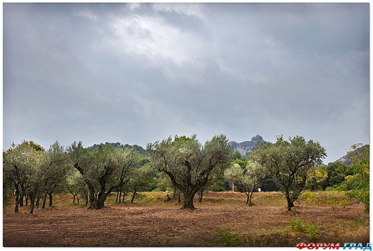 туристический форум
