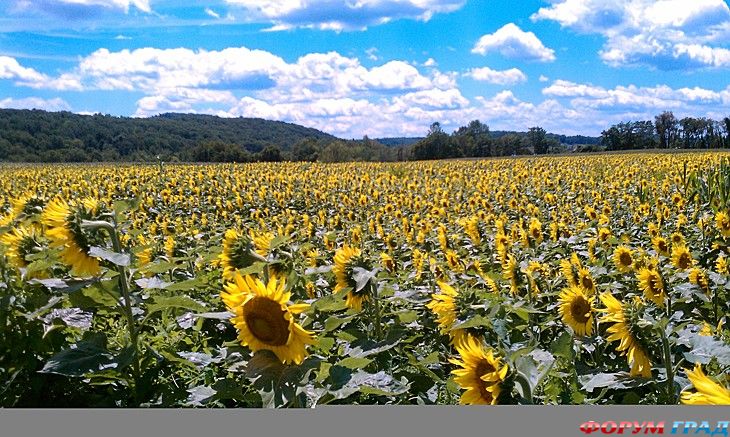 туристический форум