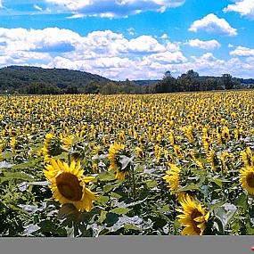 туристический форум