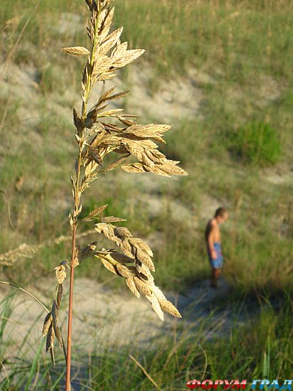 туристический форум