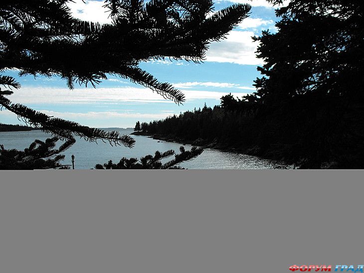 туристический форум