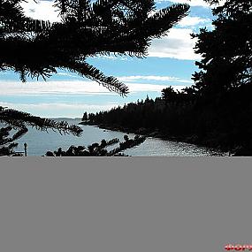 туристический форум