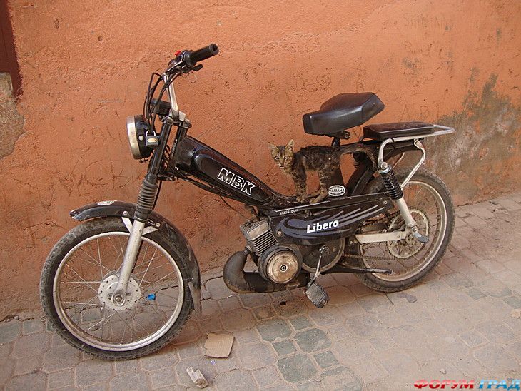 туристический форум