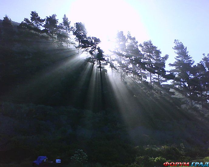 туристический форум