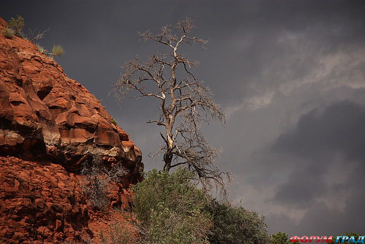 туристический форум