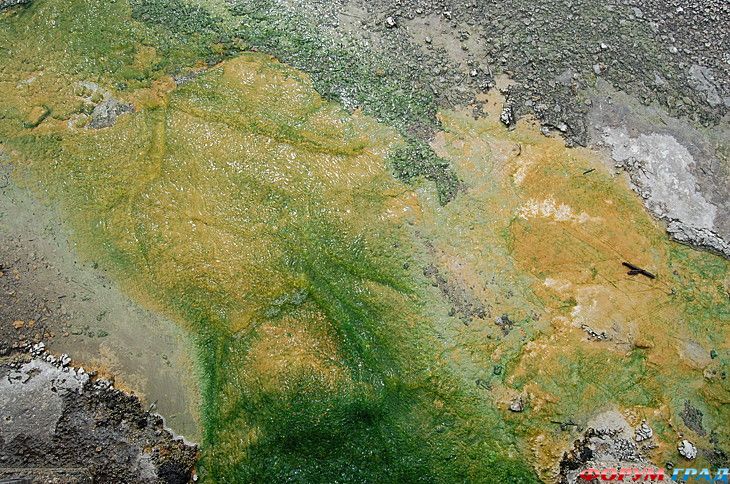 туристический форум