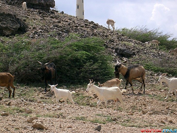 туристический форум