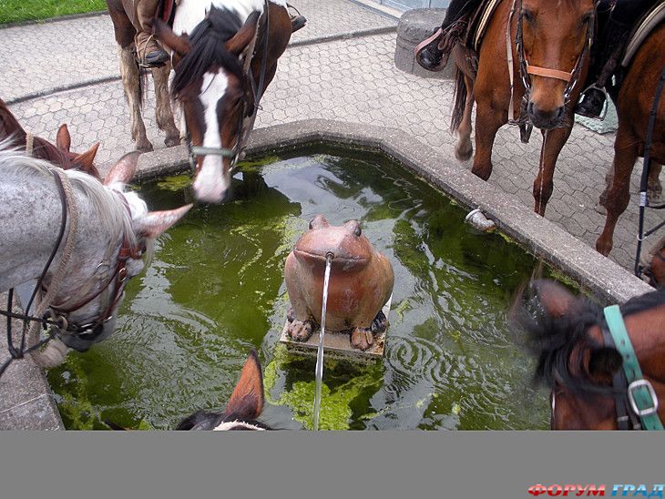 туристический форум