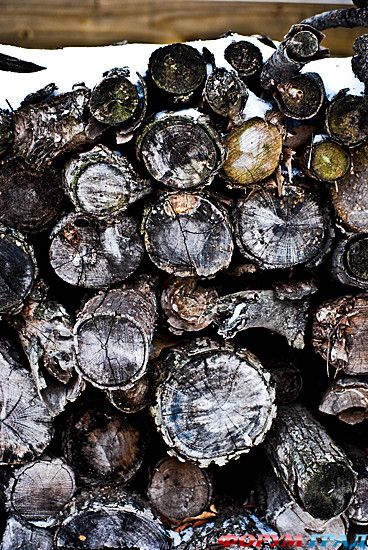 туристический форум