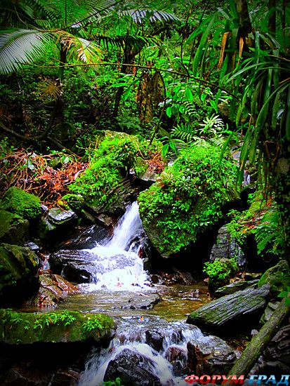 туристический форум