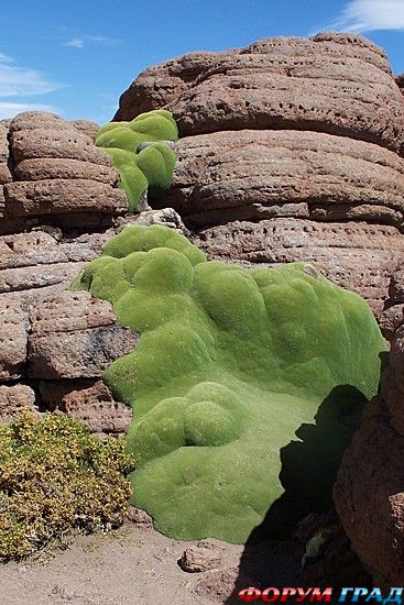 туристический форум