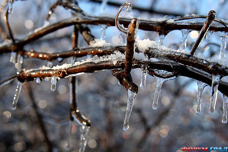 туристический форум