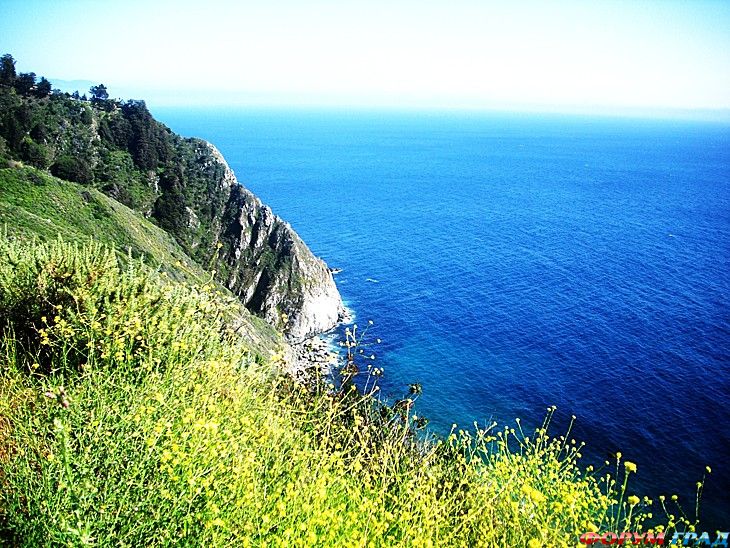 туристический форум