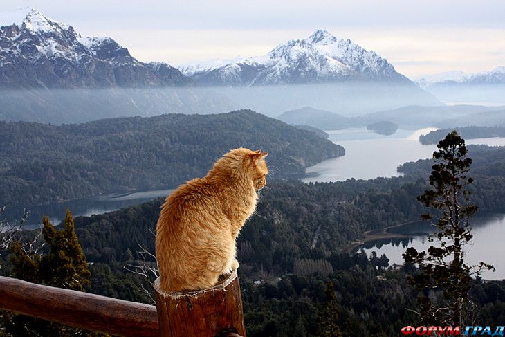 туристический форум