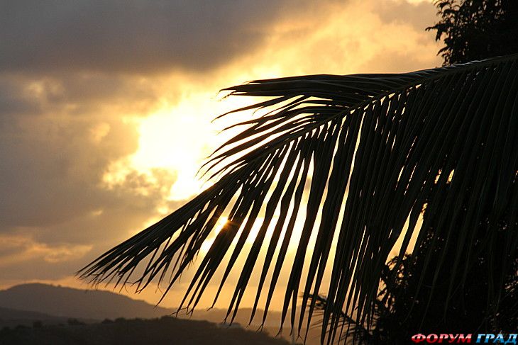 туристический форум