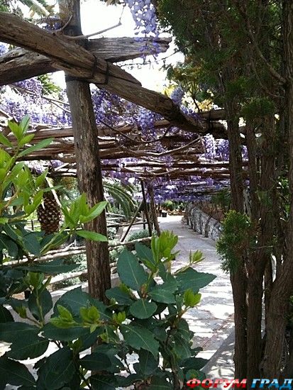 туристический форум