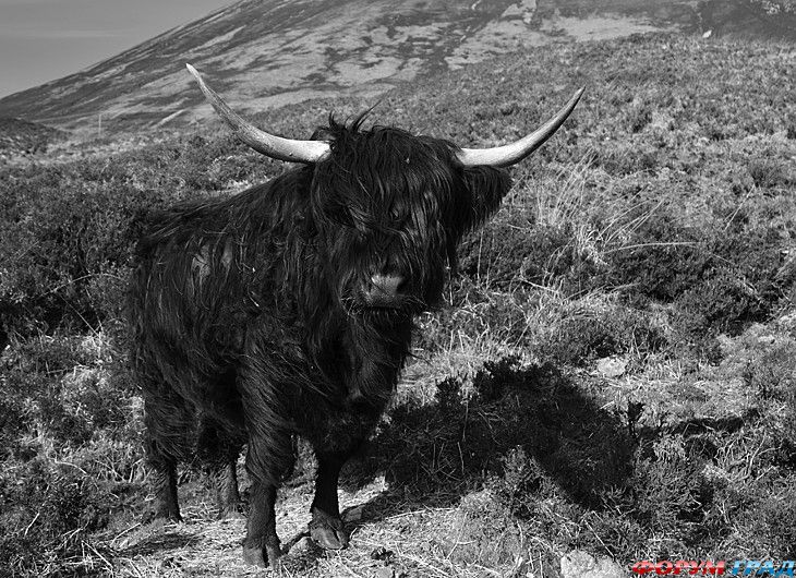 туристический форум