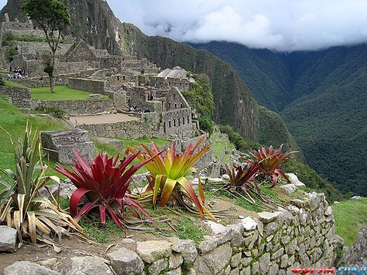 туристический форум