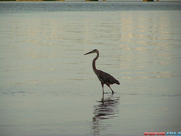 туристический форум