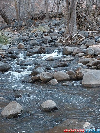 туристический форум