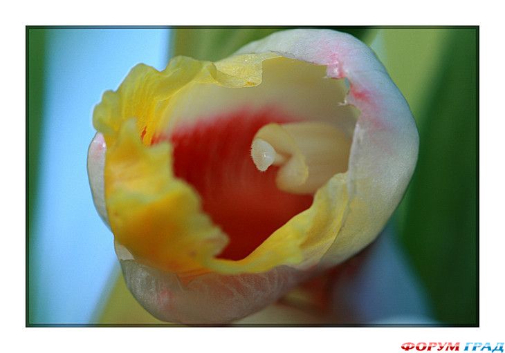 туристический форум