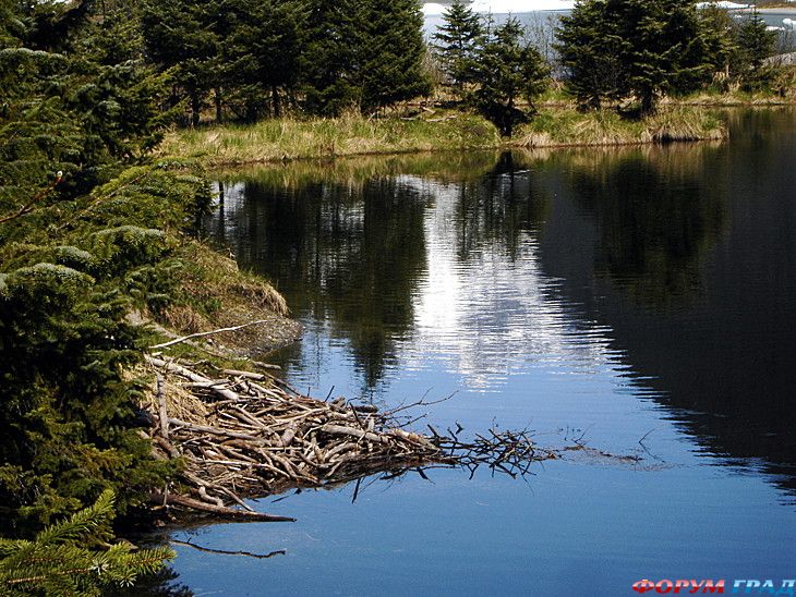 туристический форум