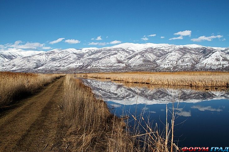 туристический форум