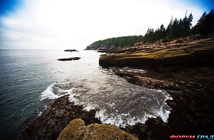 туристический форум