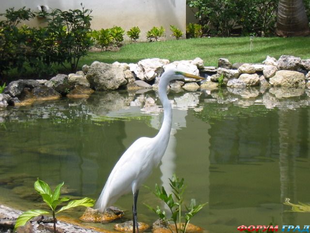 туристический форум