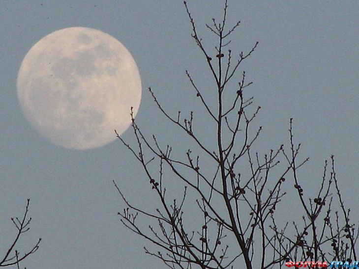 туристический форум