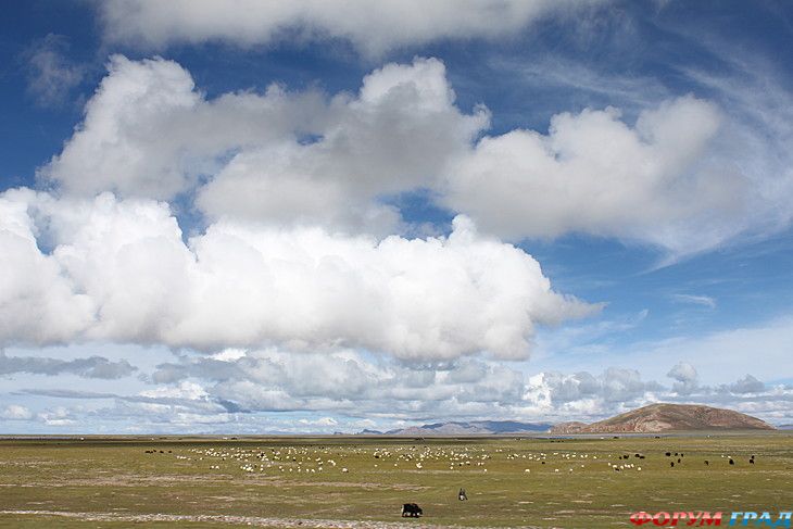 туристический форум