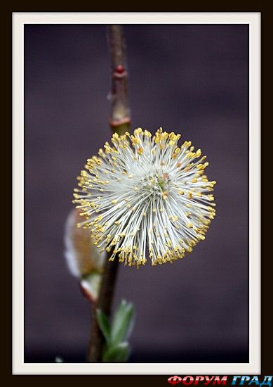 туристический форум