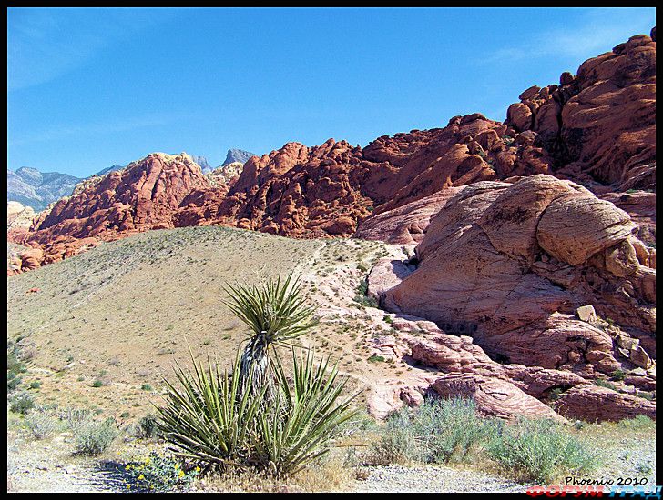 туристический форум