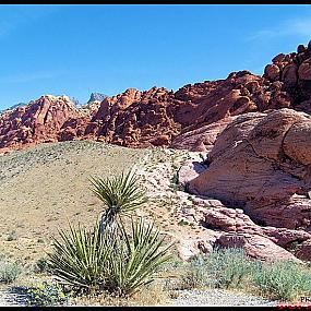 туристический форум