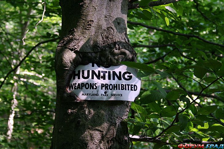 туристический форум