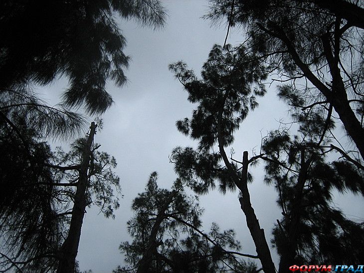 туристический форум