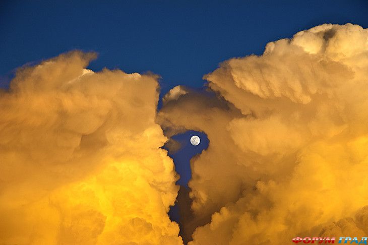 туристический форум