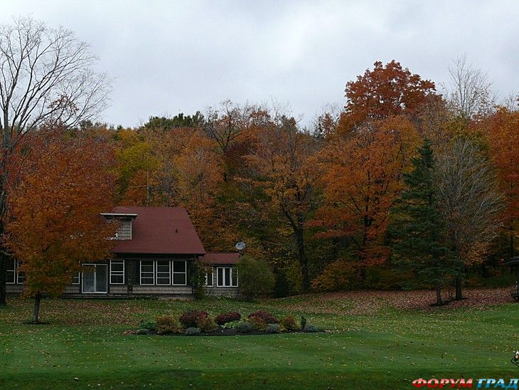 туристический форум