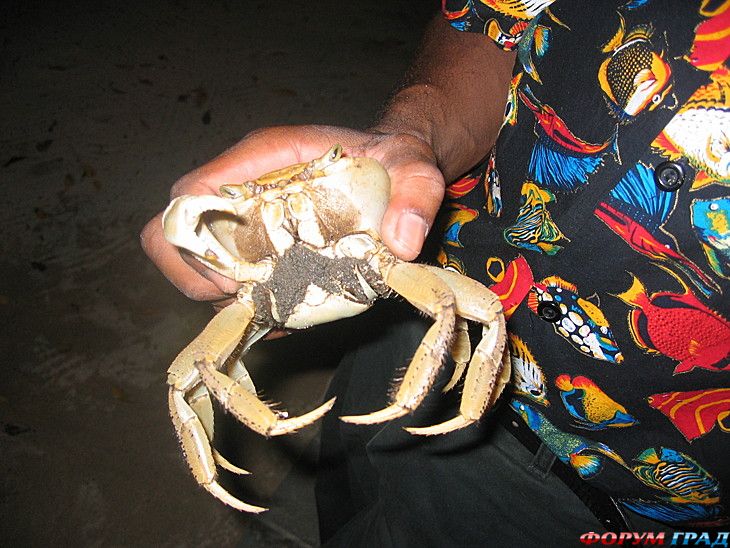 туристический форум