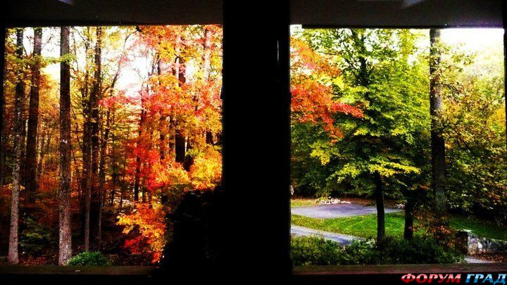 туристический форум