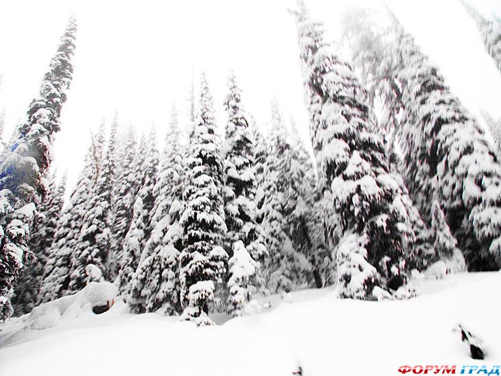 туристический форум